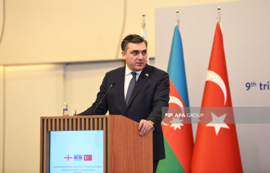 Gürcüstan XİN başçısı: Ümidvarıq ki, Azərbaycan və Ermənistan tez bir zamanda sülh sazişi imzalayacaq