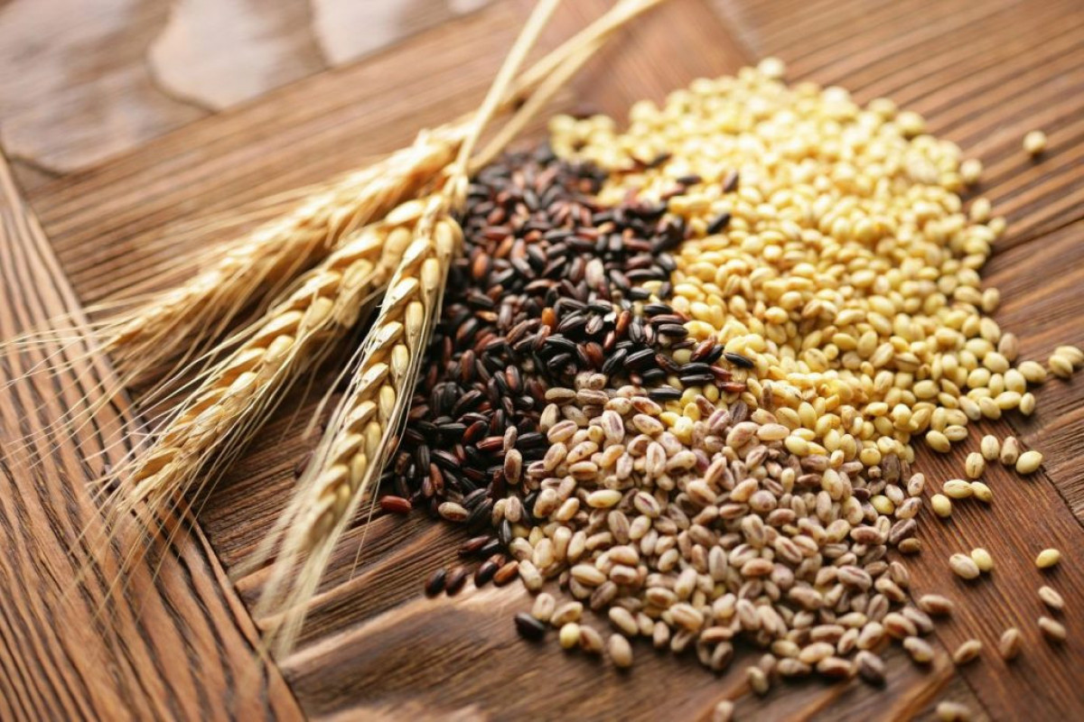 GMO və yem məhsullarının qeydiyyata alınması qaydası təsdiqlənib