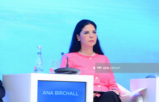 Ana Birchall: İlham Əliyevin seçkidə yenidən qalib gəlməsi xalqın ona etimadının göstəricisidir