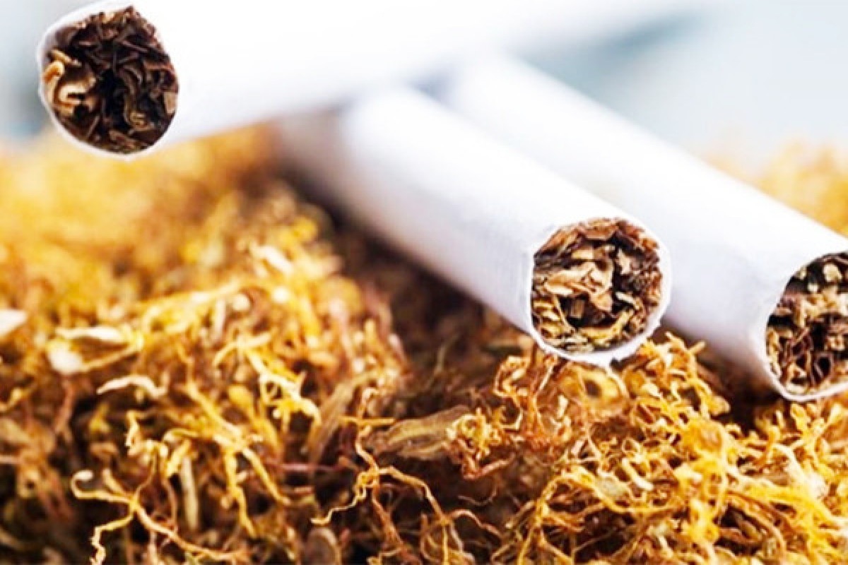 В Азербайджане выросло производство табака, сократилось производство сигарет