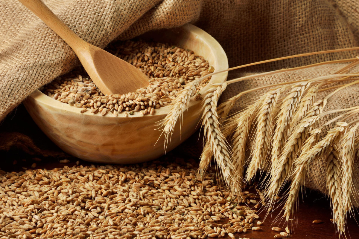 Grain import to Azerbaijan decreases by 2 times