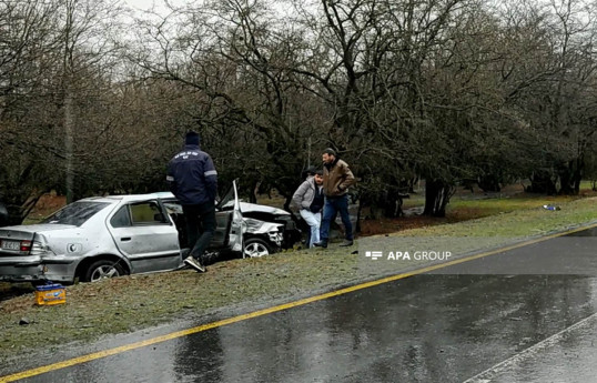 Qaxda avtomobil ağaca çırpılıb, iki qardaş xəsarət alıb - FOTO 