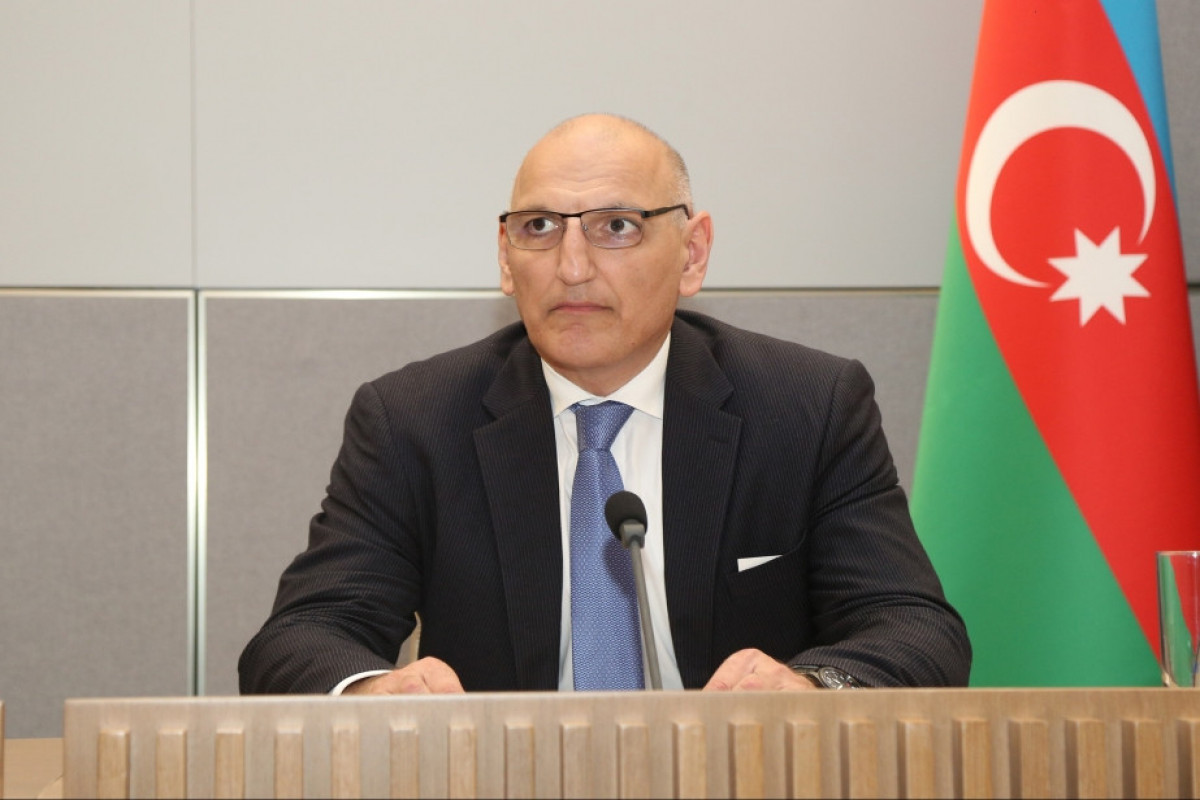 Elchin Amirbayov, Representative of the President of the Republic of Azerbaijan on special assignments