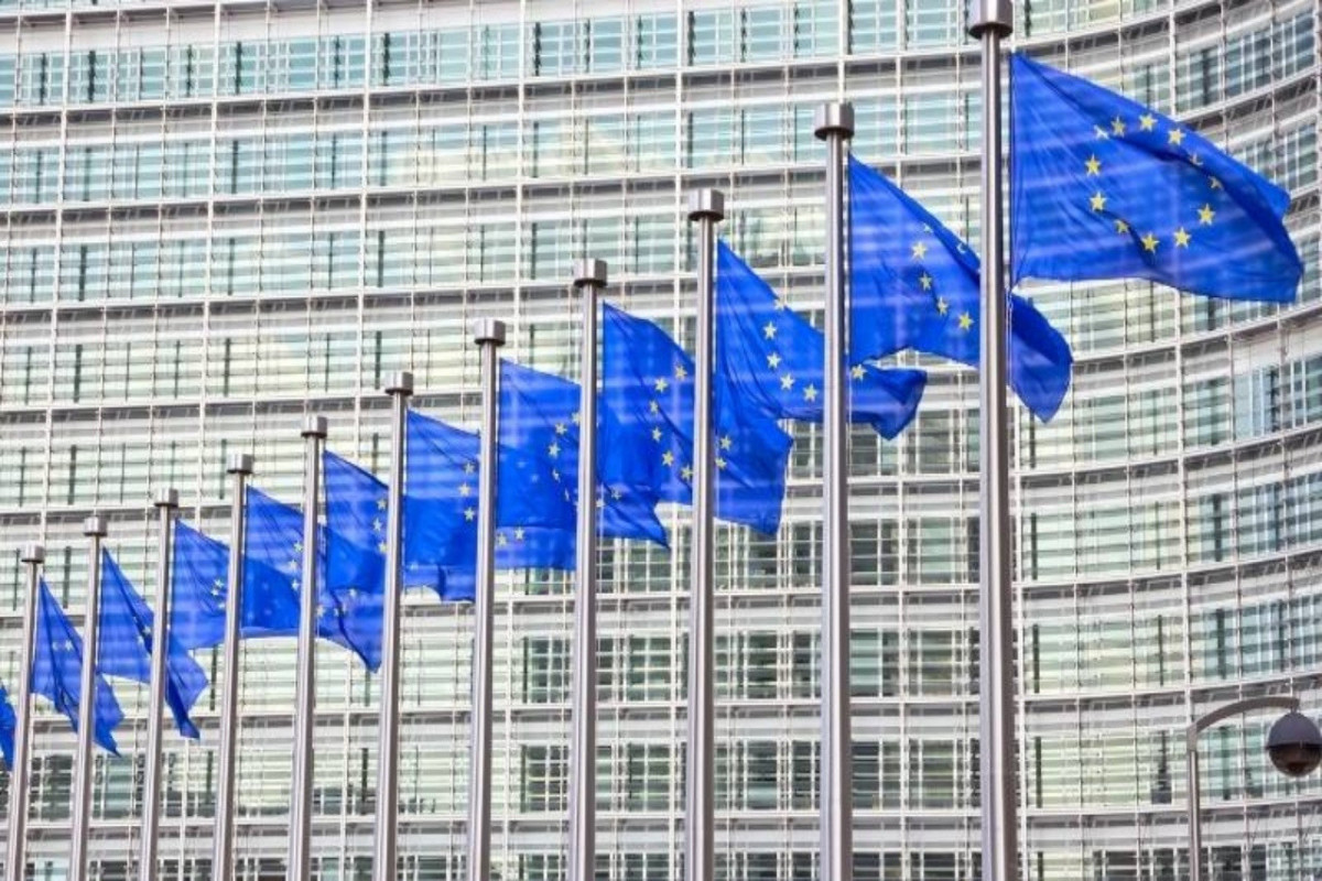 В ЕС призвали ввести санкции против Иванишвили