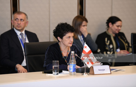 Baş nazirin müavini: Gürcüstan Avropa İttifaqına üzvlük yolundadır