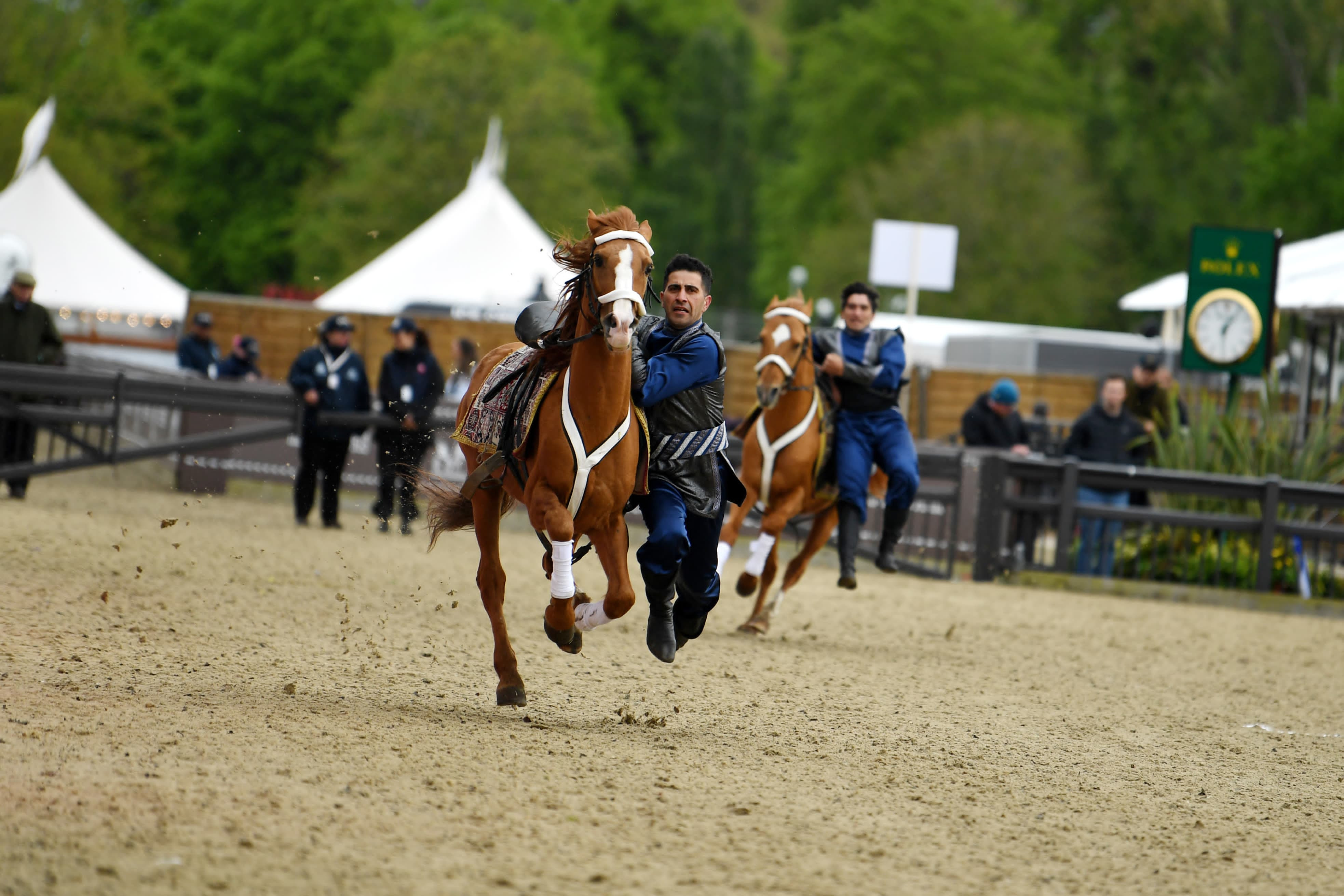 Qarabağ atları Britaniyada “Vindzor Kral Atçılıq Şousu”da təmsil olunub - VİDEO 