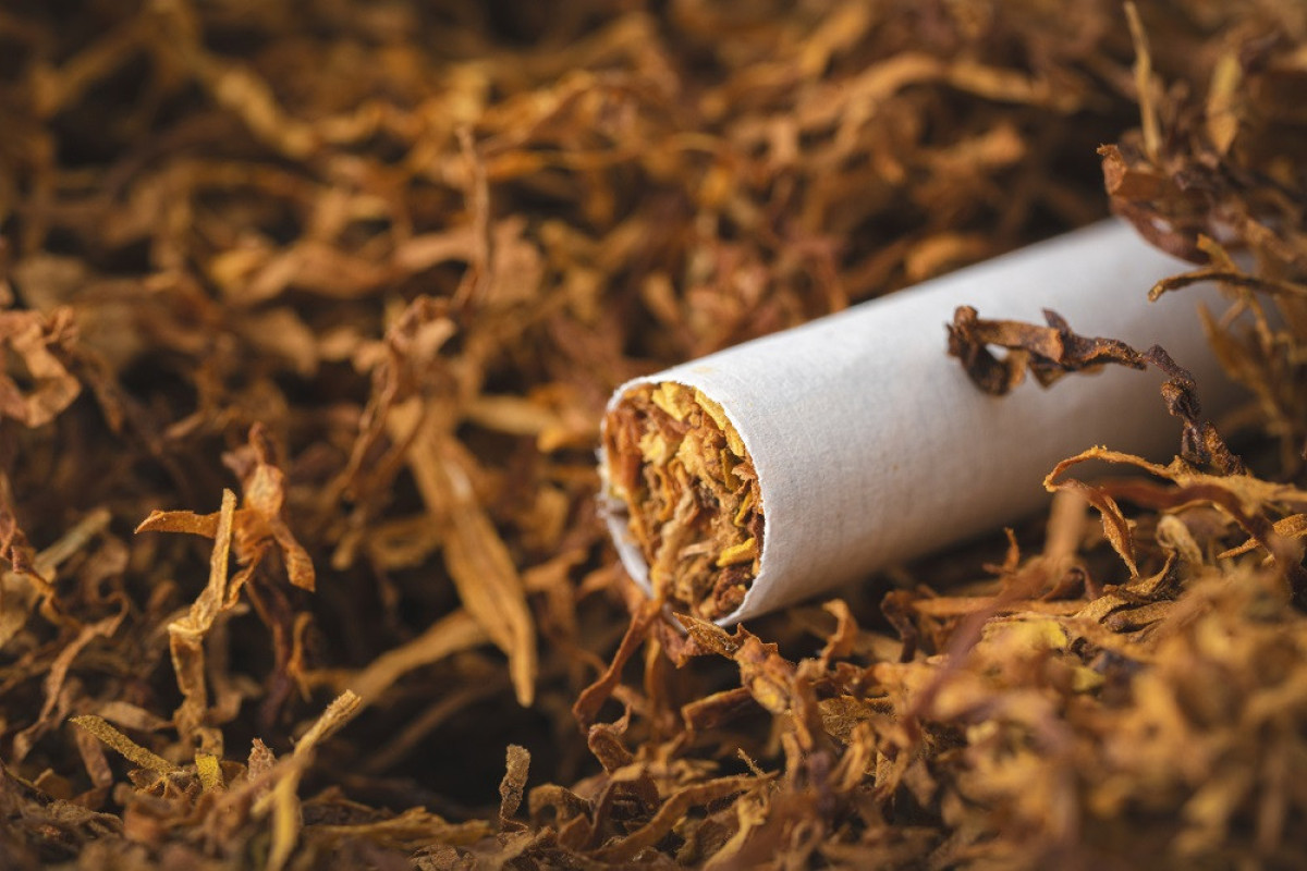 Azerbaijan determines fines for persons who produce tobacco products without registration