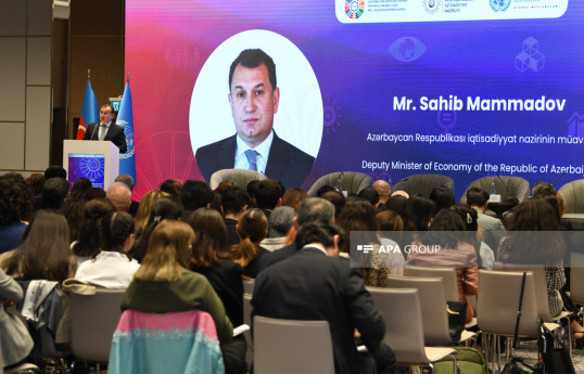 Sahib Məmmədov: Qadınların orta aylıq əməkhaqqı nisbətinin 80%-ə çatdırılması nəzərdə tutulub