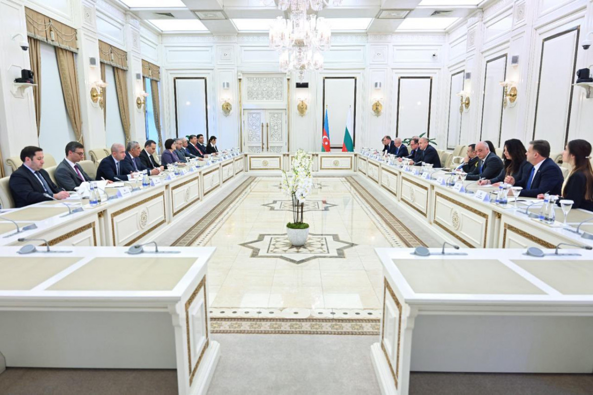 Azerbaijani Parliament Speaker, Bulgarian President hold meeting