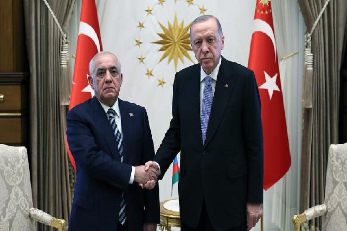 Президент Турции принял премьер-министра Азербайджана