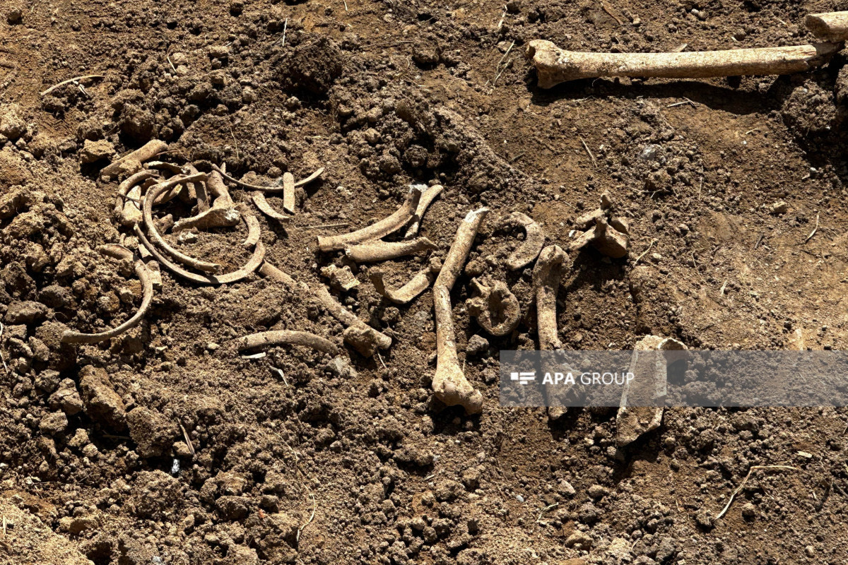 В Малыбейли обнаружены фрагменты человеческих костей