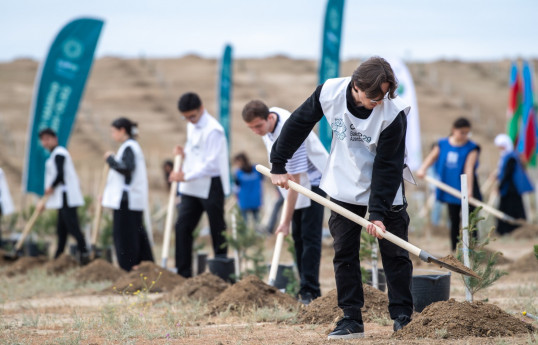 Azərbaycanda COP29 çərçivəsində ağacəkmə aksiyası və fləşmob keçirilib