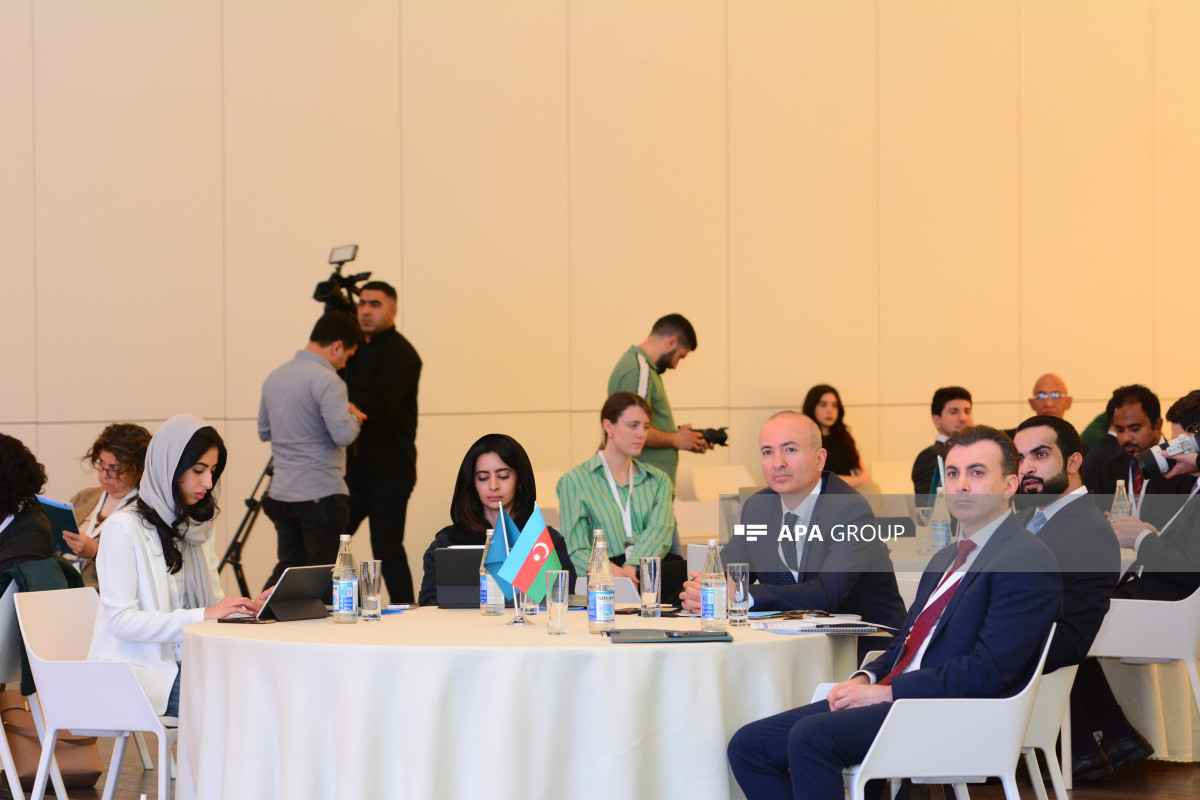 Bakıda COP29-a hazırlıqla bağlı təlim seminarı keçirilib - FOTO 