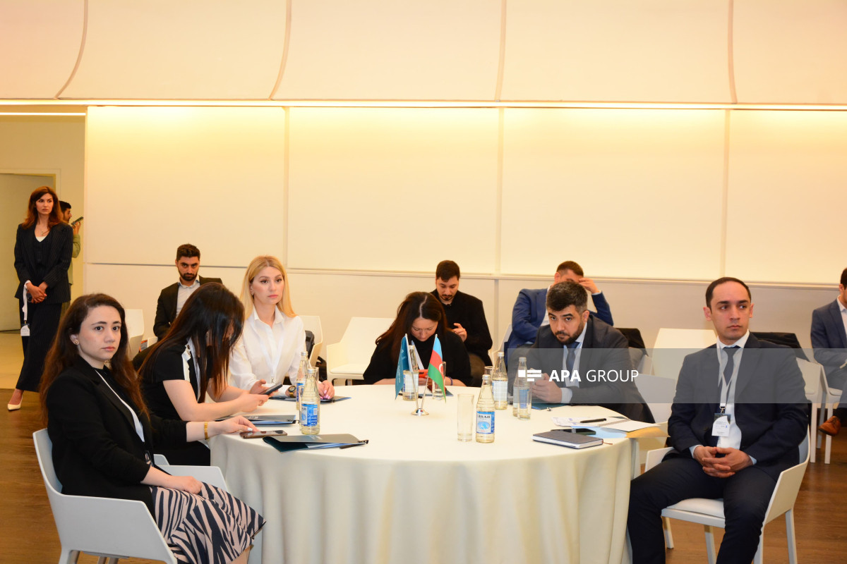 Bakıda COP29-a hazırlıqla bağlı təlim seminarı keçirilib - FOTO 