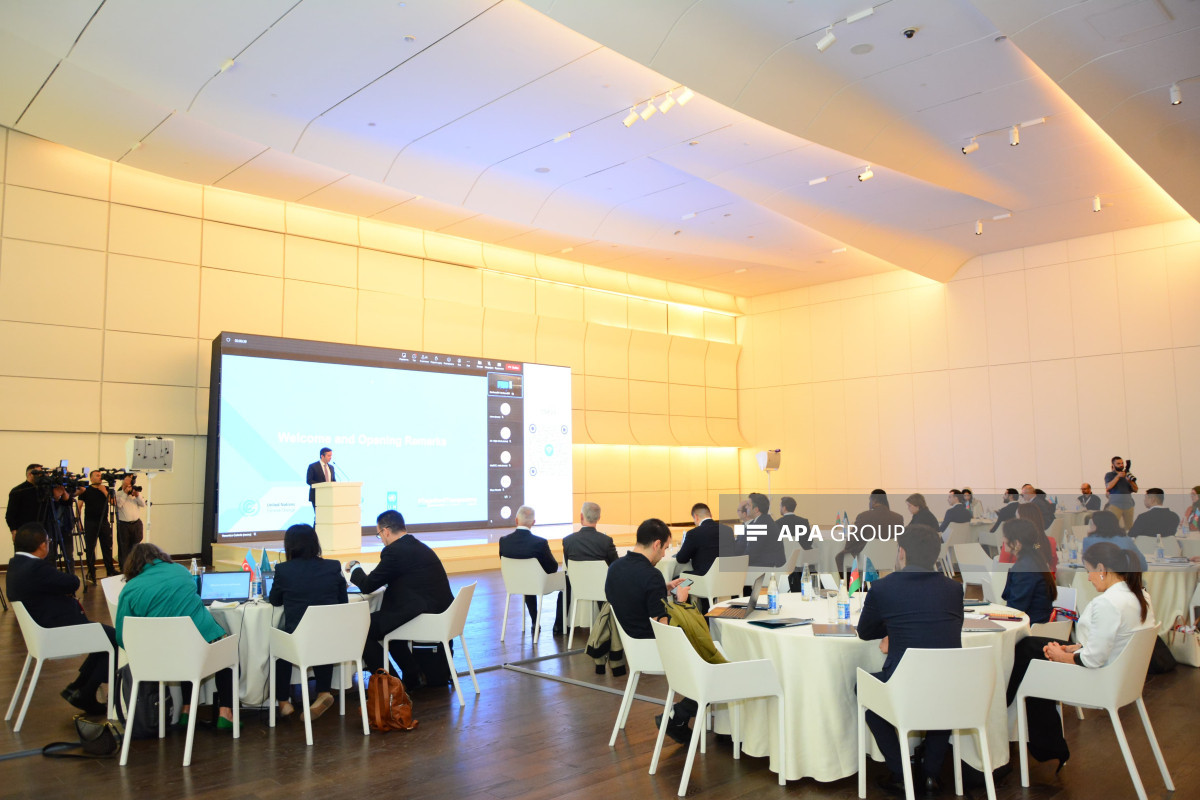 Bakıda COP29-a hazırlıqla bağlı təlim seminarı keçirilib - FOTO 