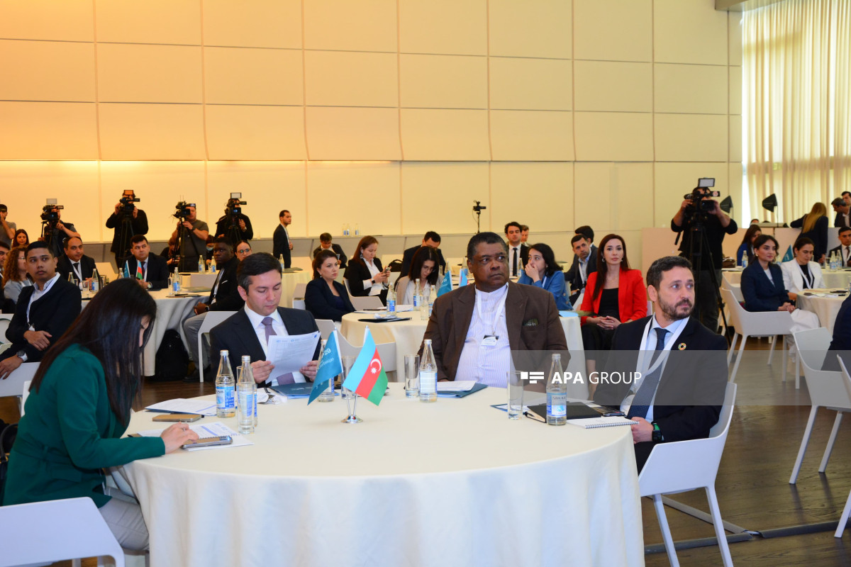 Bakıda COP29-a hazırlıqla bağlı təlim seminarı keçirilib - FOTO 