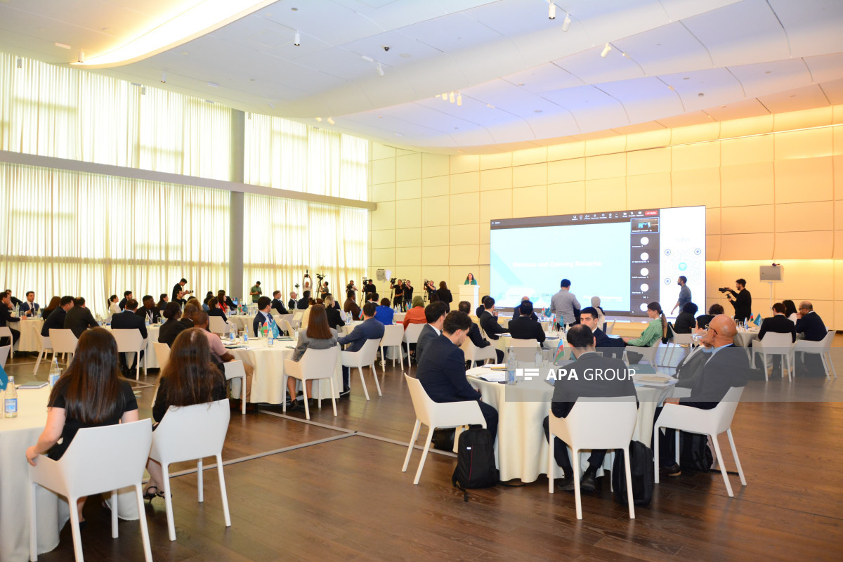 Bakıda COP29-a hazırlıqla bağlı təlim seminarı keçirilir - FOTO 