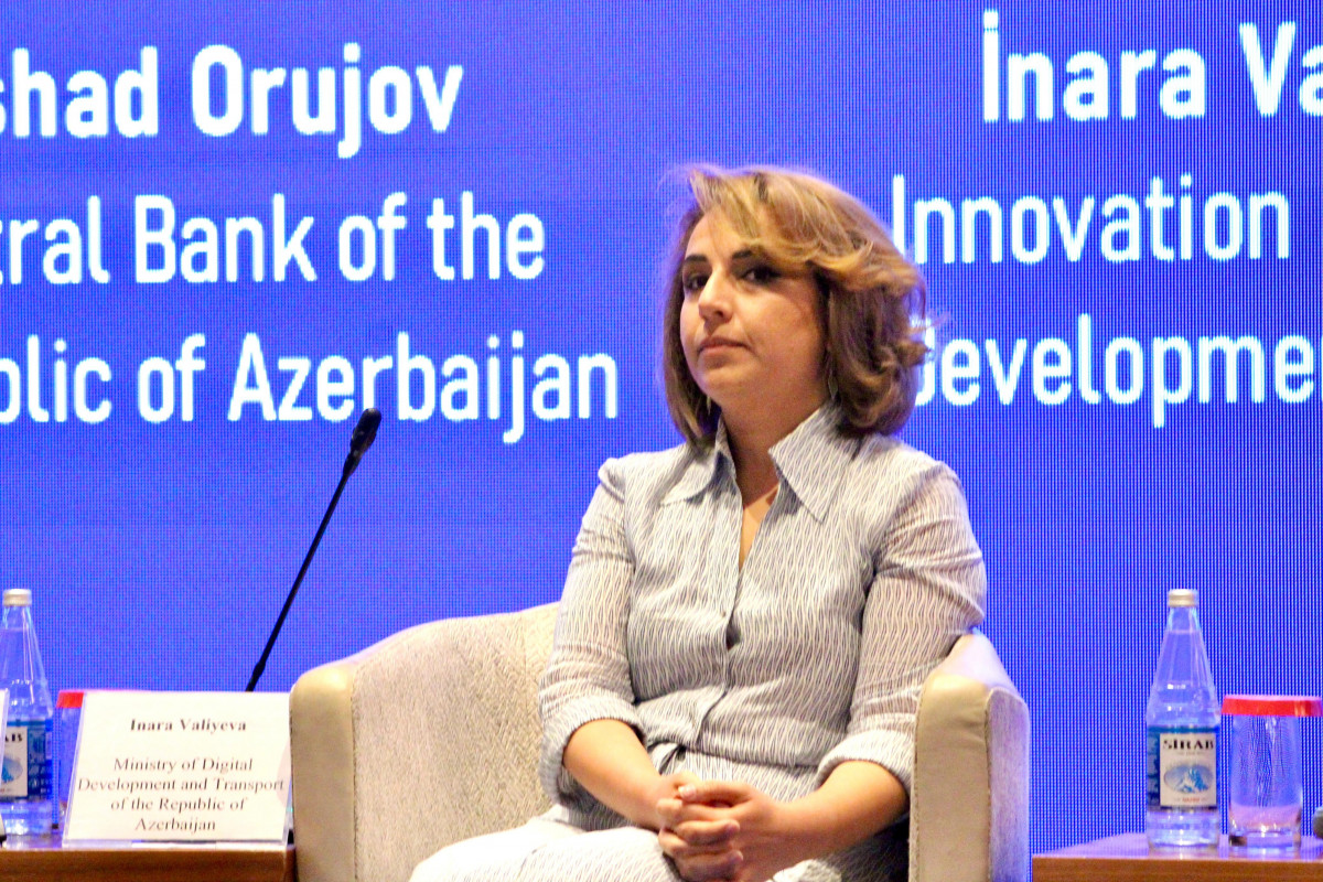 İnarə Vəliyeva: Azərbaycanda ikinci vençur fondu yaradılacaq