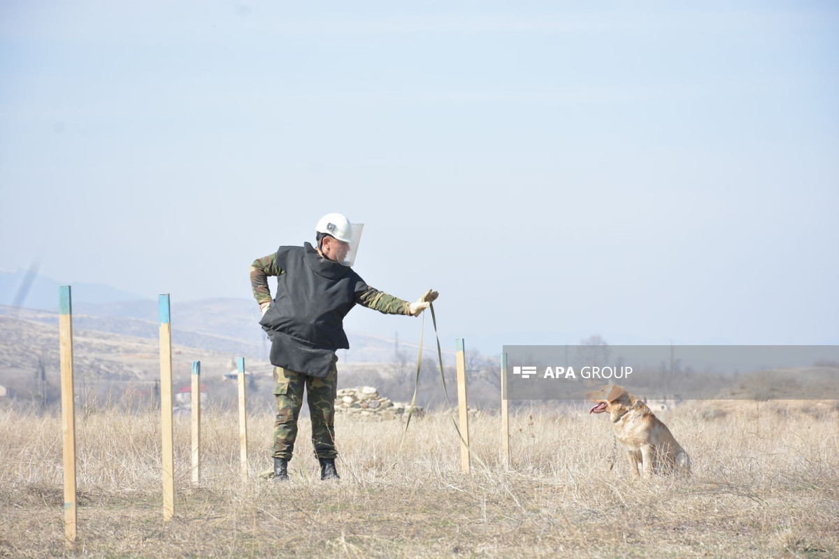 Aİ humanitar minatəmizləmə sahəsində Azərbaycana dəstəyini davam etdirəcək