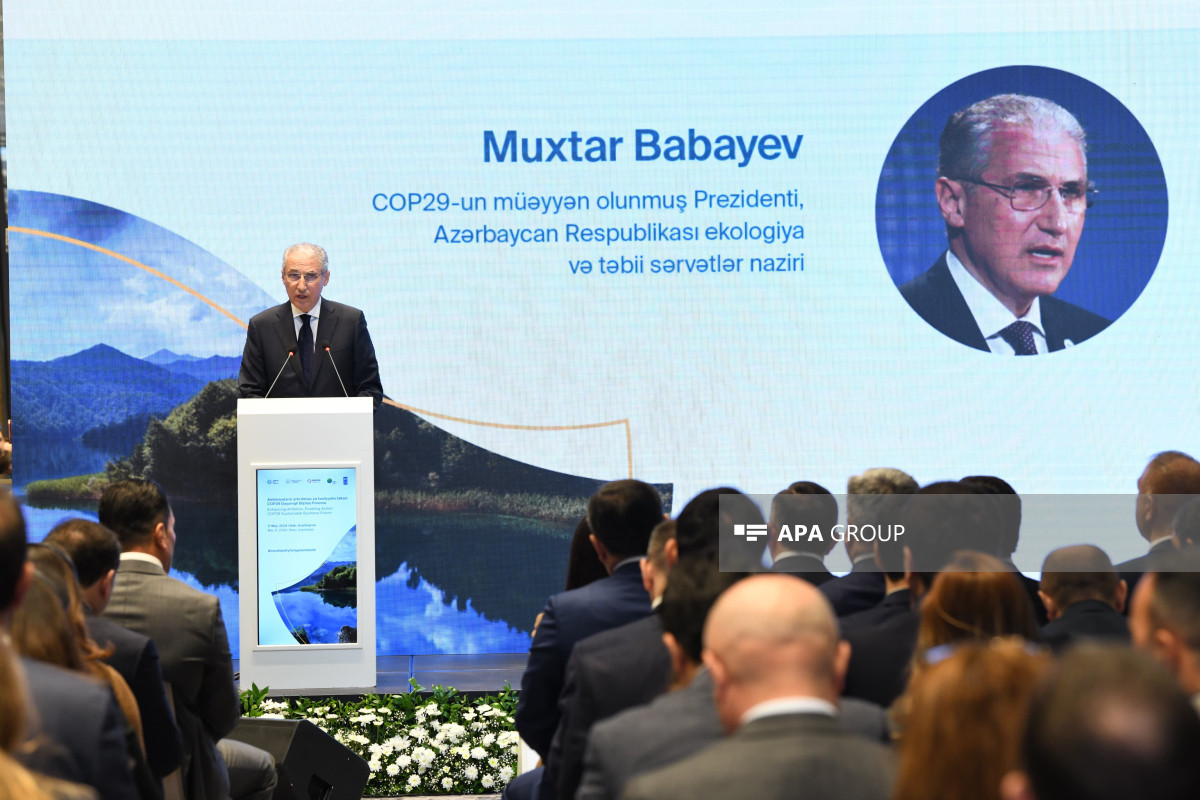 Nazir: Karbon vergisinin tətbiqi istiqamətində yeni qanun layihəsi hazırlanıb