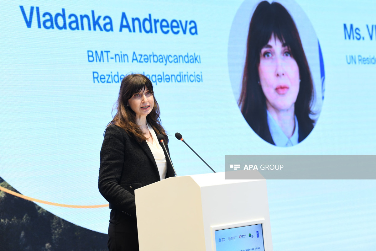 Vladanka Andreeva: Azərbaycan özəl sektorun yaşıl enerjiyə dəstəyinə görə digər ölkələrə örnək ola bilər