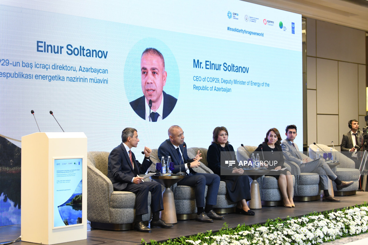 Nazir müavini: COP29 üçün əsas məsələ maliyyə məsələsidir