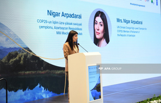 Nigar Arpadarai: Azərbaycan dünyadakı iqlim böhranı məsələsinə həssas yanaşır