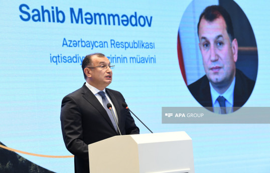 Nazir müavini: Enerji keçidində maliyyələşdirmə ilə bağlı bütün maraqlı tərəflərlə işləməyə hazırıq