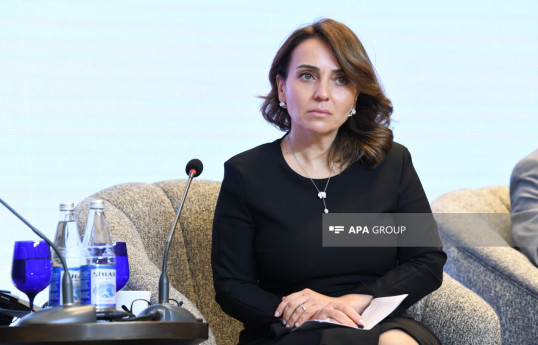 Beynəlxalq Maliyyə Korporasiyasının Azərbaycandakı Ölkə nümayəndəsi Aliyə Əzimova