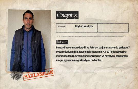 Bakıda usta işlədiyi evlərdən oğurluq edən şəxs saxlanılıb - VİDEO 