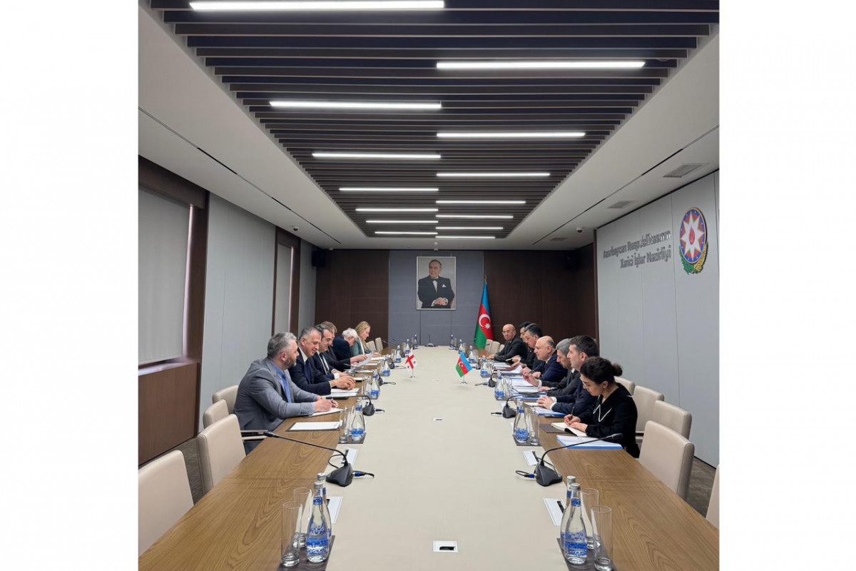 Azerbaijani, Georgian foreign ministries hold political consultations
