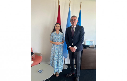 Leyla Əliyeva İsveçrədə BMT ofisində görüşlər keçirib - FOTO 