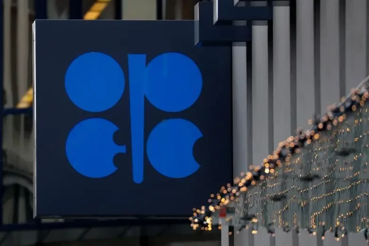 OPEC+ countries to discuss situation on oil market at June 1 meeting — Novak