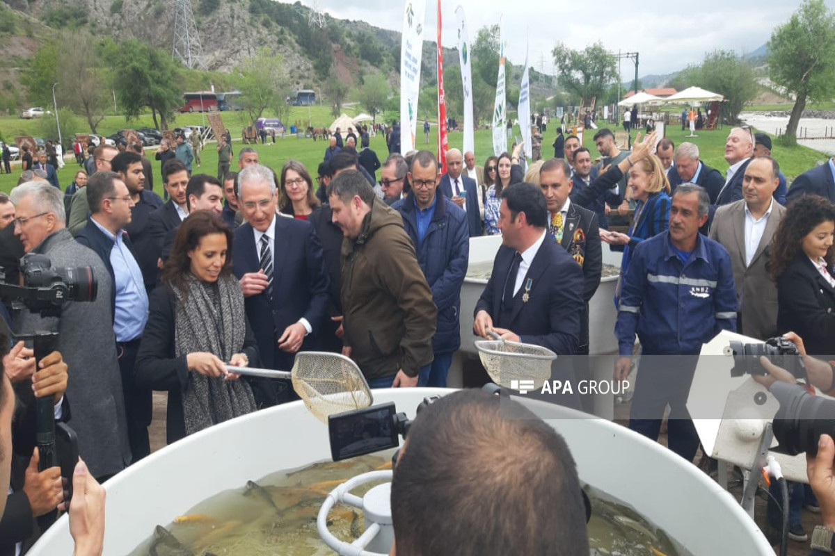 Diplomatlar Həkəri çayına balıq körpələri buraxıb - FOTO 