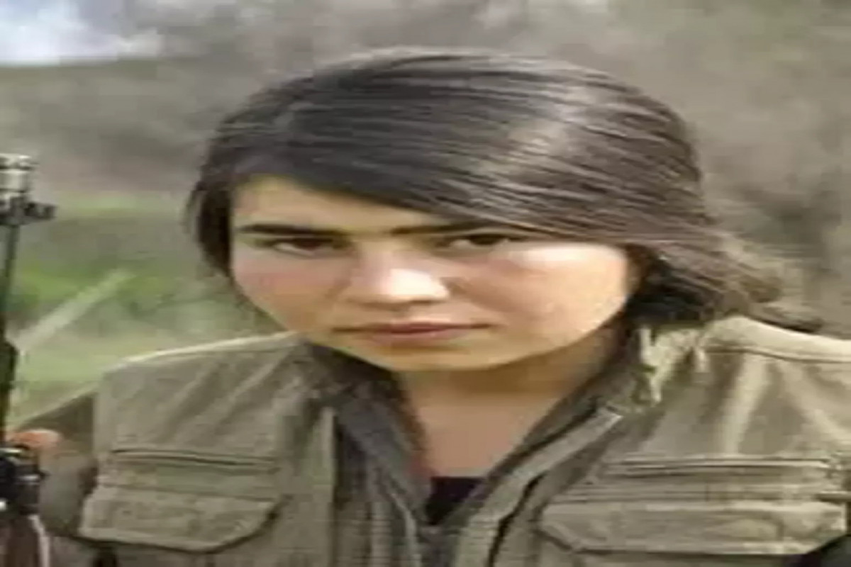 MİT İraqda 2 PKK üzvünü zərərsizləşdirib