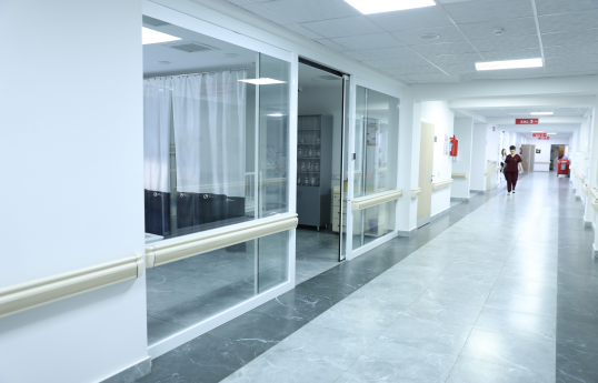 Son bir ildə Toksikologiya şöbəsinə zəhərlənmə səbəbilə 5500-dən çox adam qəbul edilib
