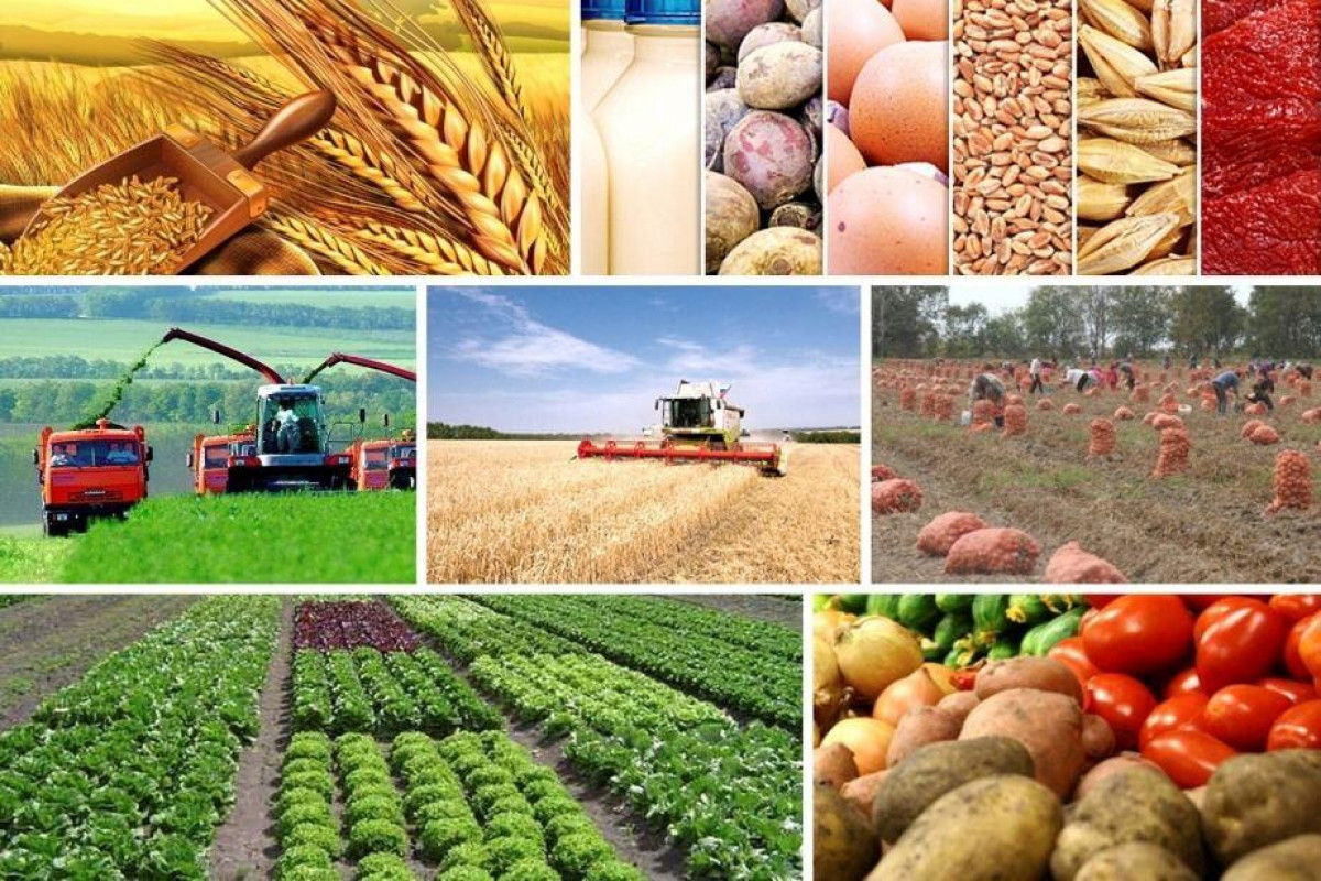 Azerbaijan increases agricultural expenditures in budget by AZN 100 mln.