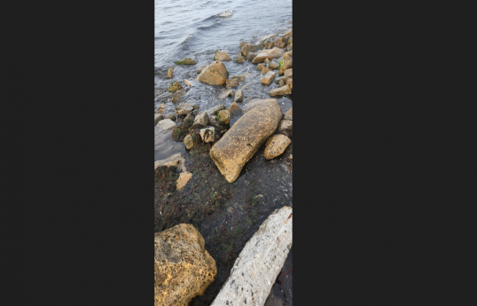 Nardaranda "Daçnik" çimərliyinin çirklənməsi ilə bağlı yayılan görüntülərə aydınlıq gətirilib - FOTO 