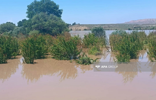 Kürdə daşqınlar Tovuzda fəsadlara səbəb olub - FOTO 