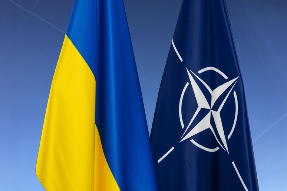 НАТО рассматривает возможность назначения спецпредставителя по Украине
