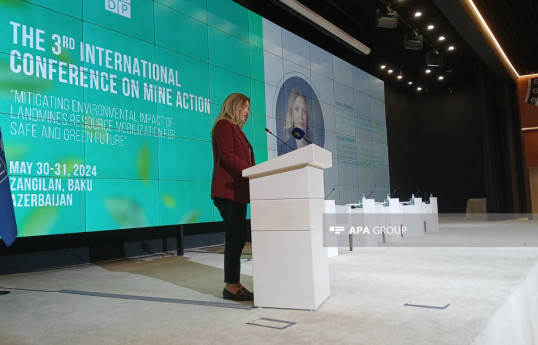 BMT Baş katibinin köməkçisi: Azərbaycan ətraf mühitin qorunması üçün böyük işlər görməkdədir