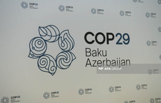 Ceyhun Bayramov: Ümid edirik ki, COP29 uğur hekayəsi olacaq