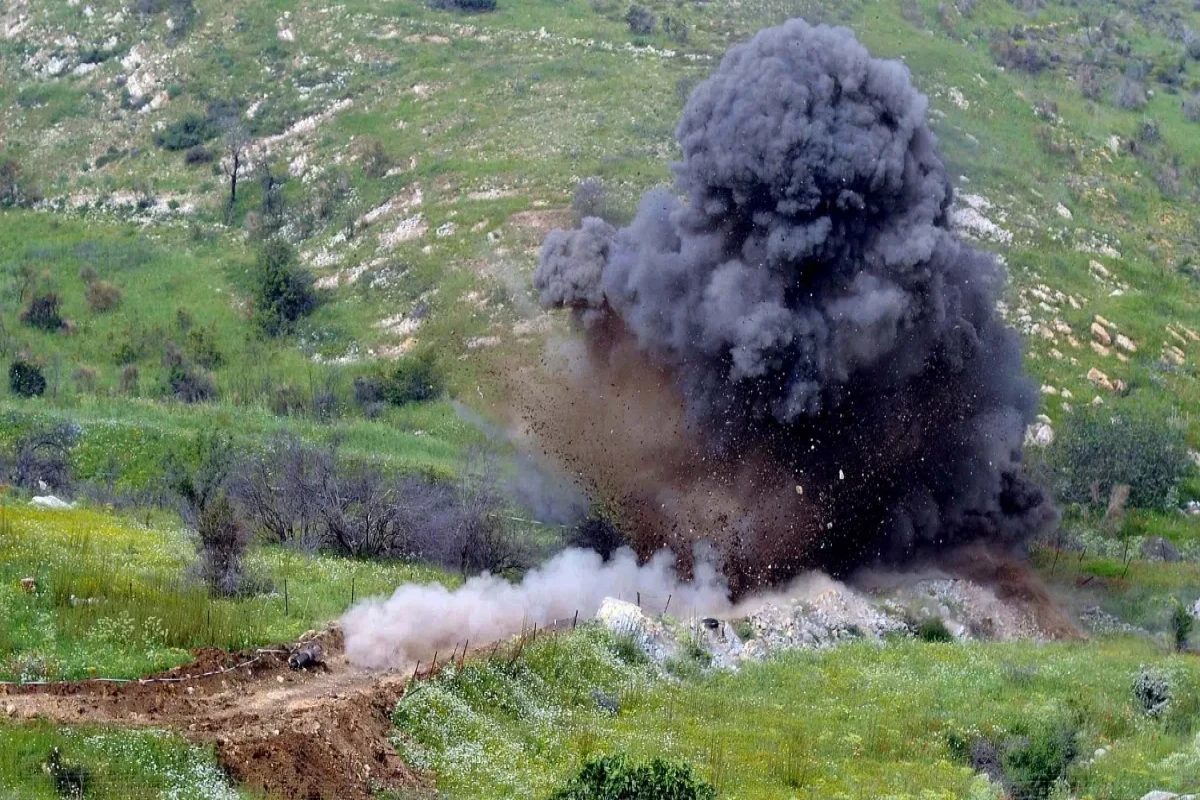 Goranboyda heyvanlar minaya düşüb