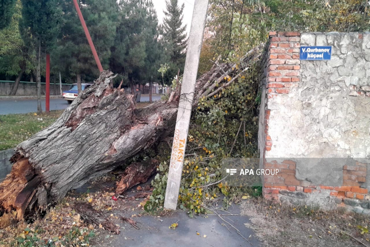 Zaqatalada güclü külək fəsadlar törədib, binanın dam örtüyü uçub - FOTO 