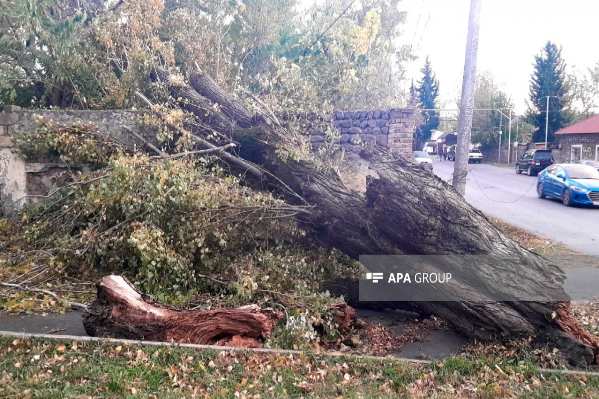 Zaqatalada güclü külək fəsadlar törədib, binanın dam örtüyü uçub - FOTO 