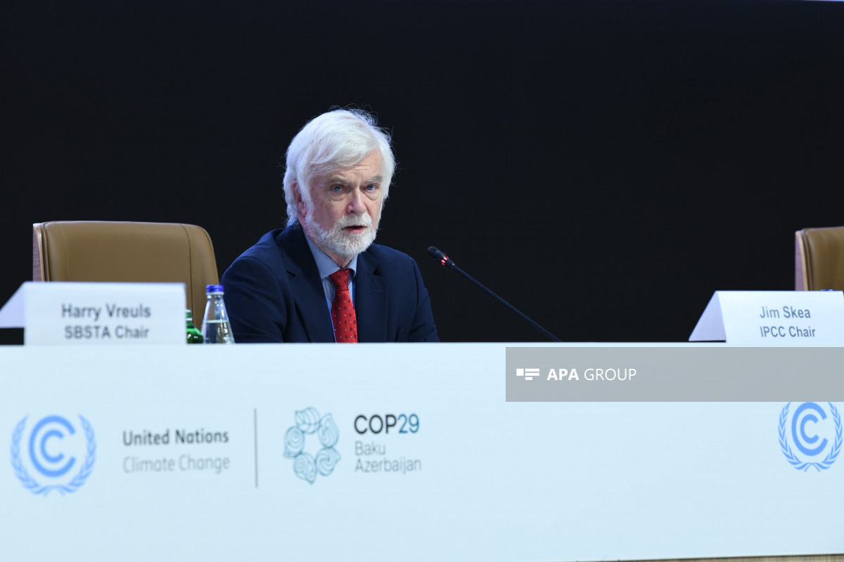 COP29