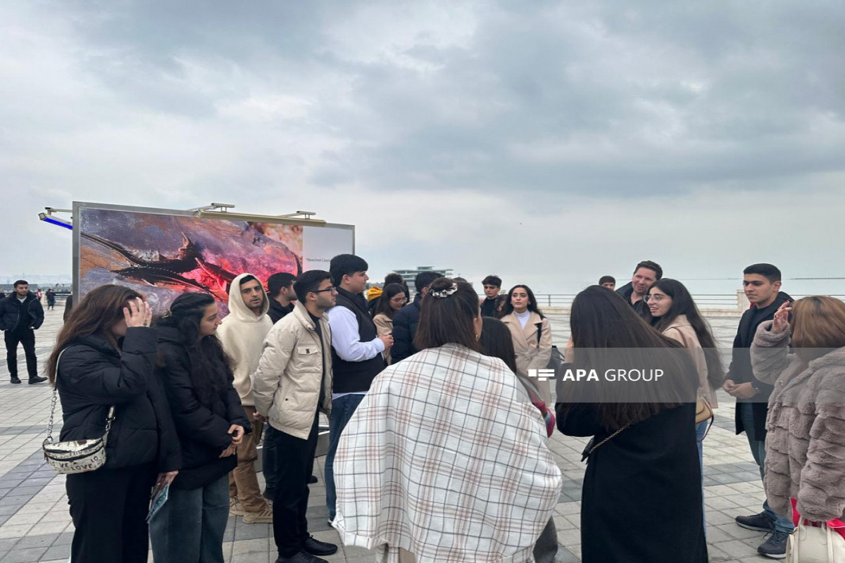 Sualtı dünyaya və dünya sularında yaşayan canlıların əhəmiyyətinə həsr olunan sərgi açılıb - FOTO 