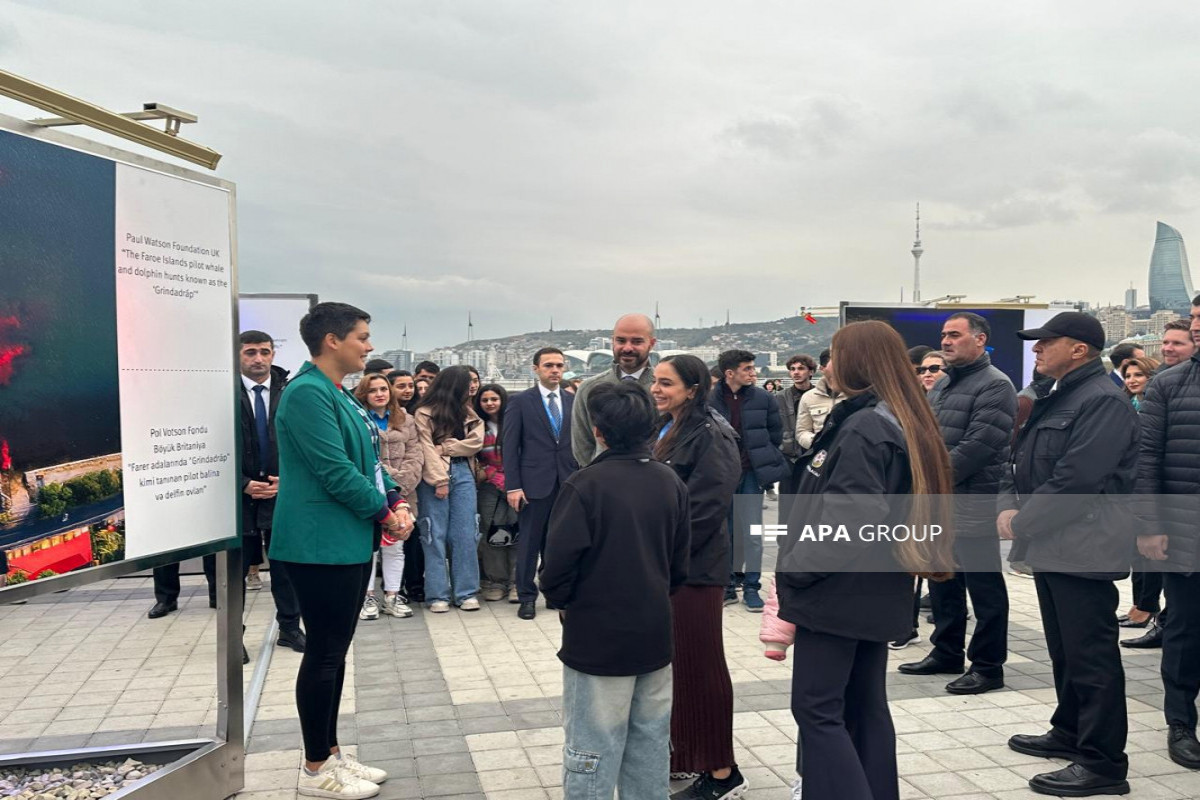 Sualtı dünyaya və dünya sularında yaşayan canlıların əhəmiyyətinə həsr olunan sərgi açılıb - FOTO 