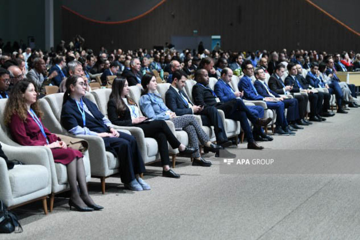 İqlim Dəyişmələri üzrə Çərçivə Sazişinin Tərəflər Konfrasının gündəliyi təsdiq edilib