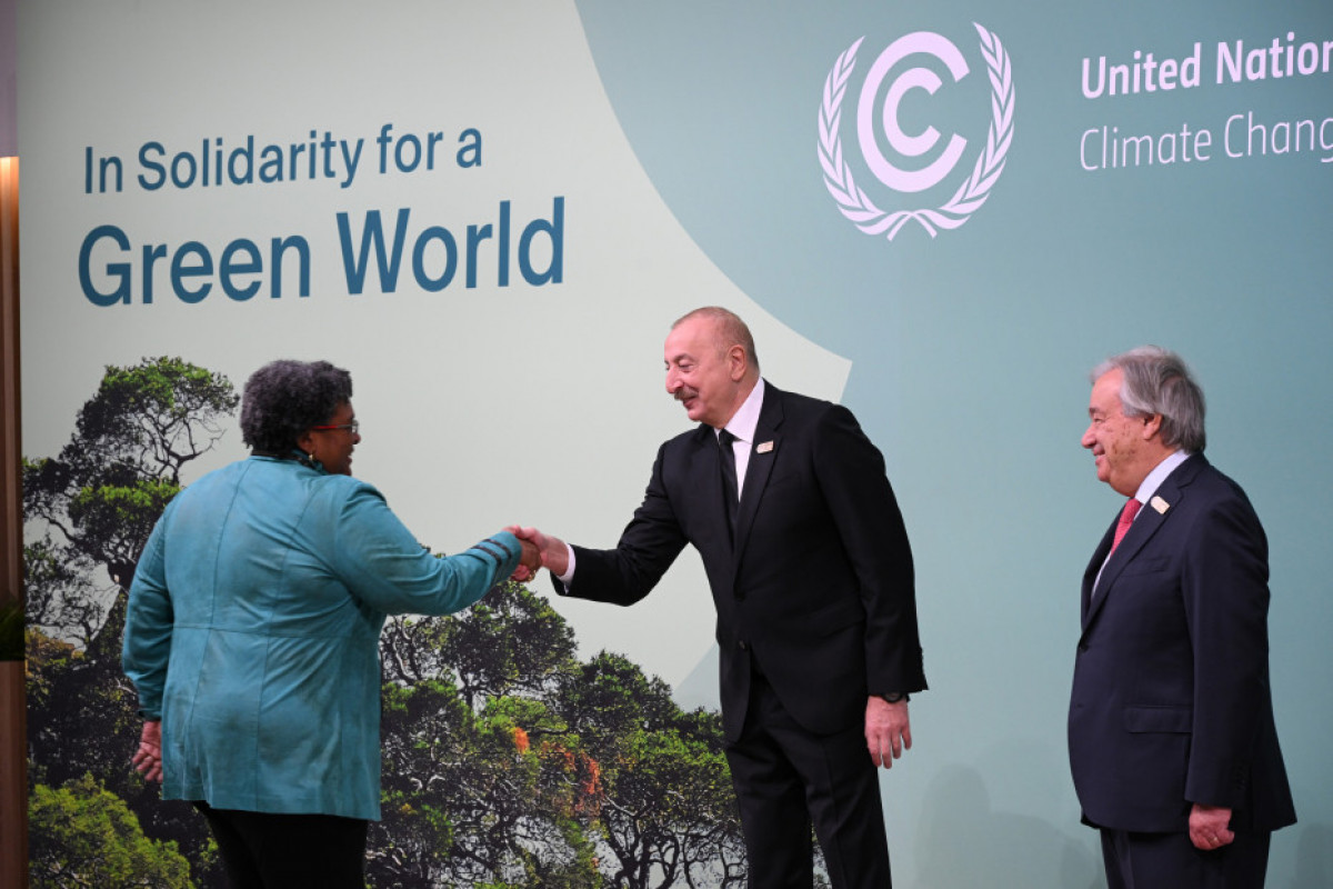 COP29-un